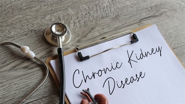 مشاكل الكلى الأكثر شيوعًا لدى كبار السن
