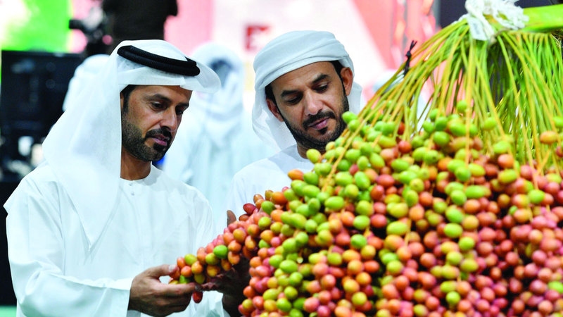 ليوا للرطب.. مهرجان حب النخيل يتجدد