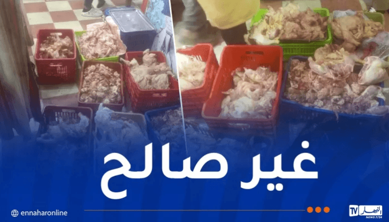 شرطة عين الدفلى تحجز أكثر من 22 قنطار دجاج فاسد