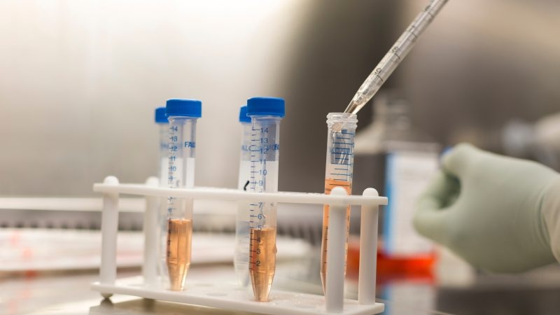 Breaking the chain: strengthening Europe's preparedness for disease outbreaks