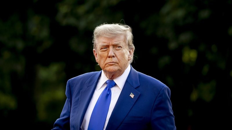 Trump suggests EU's digital rules are on the table in trade talks