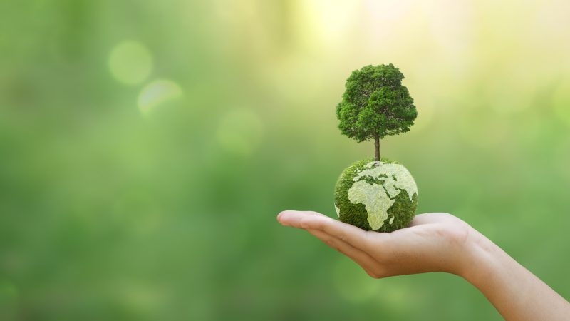 Paving the Way for Europe's competitive green future