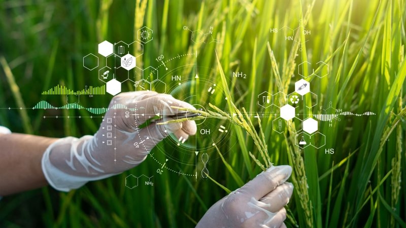 EU eyes new bioeconomy strategy to boost competitiveness