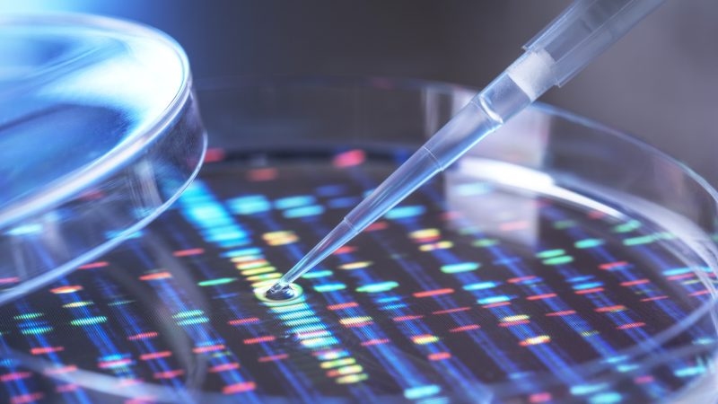 Belgian biotech stakeholders urge EU to fast-track innovation and financing reforms