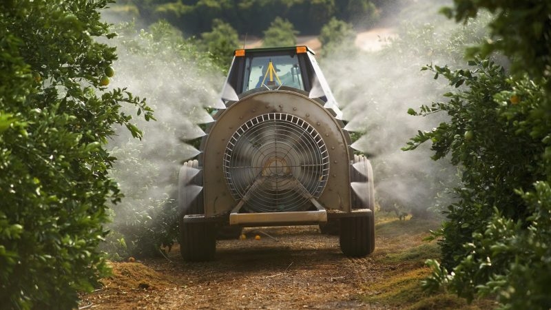 Paris restricts copper use in farming, fueling EU debate over alternative fungicides