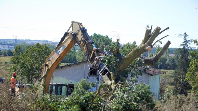 NGOs fear Brussels taking ‘chainsaw' to EU environmental protections