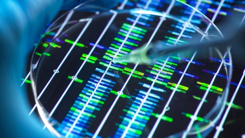 Rare disease research boost for lysosomal scientists backed by Chiesi