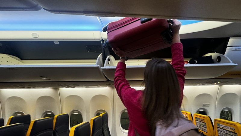 Airlines scramble as dogfight with EU over baggage rules looms