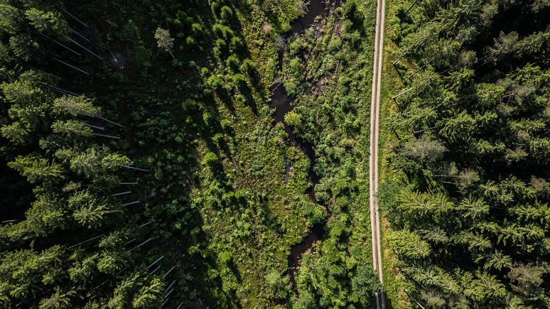 German states push to scrap EU nature restoration law