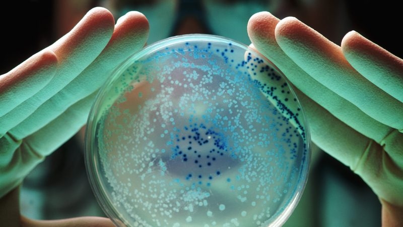 Preparing Europe for the next cross-border health threats, COVID lessons unpacked