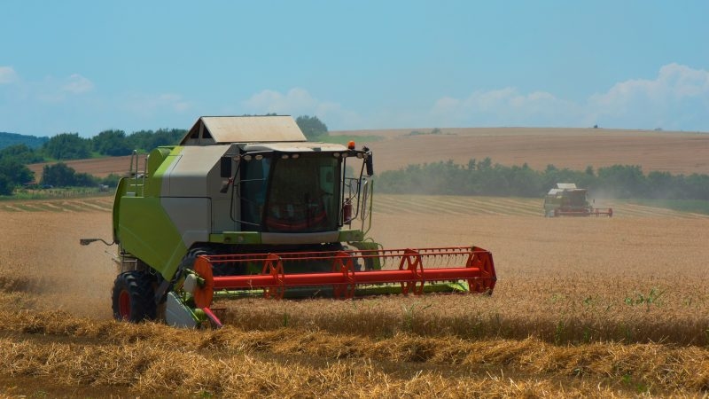 Denmark's vision for EU agriculture is firmly focused on simplicity