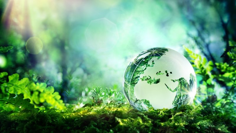 EU's 2040 climate target brings back welcome dose of pragmatism and flexibility