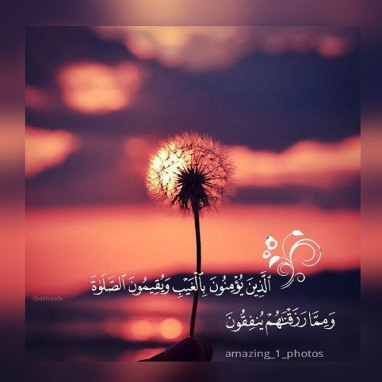 سعادتك بالفلاح والفلاح لا يناله إلا من اتصف بهذه الصفات