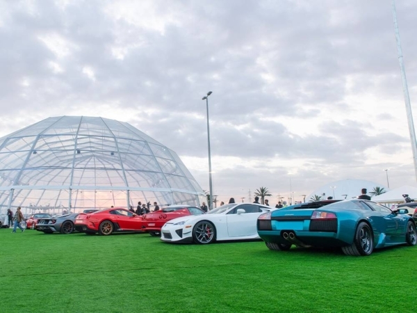 Sports Vehicles Can Have Short Number Plates