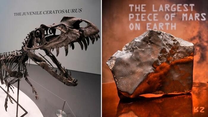 At Sotheby's Auction, $30 Million Dinosaur Skeleton Stuns As Martian Meteorite Sets Record