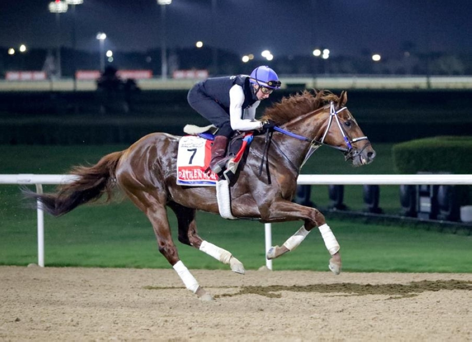 Buick, Lemaire among star names to run rule over WC night chances