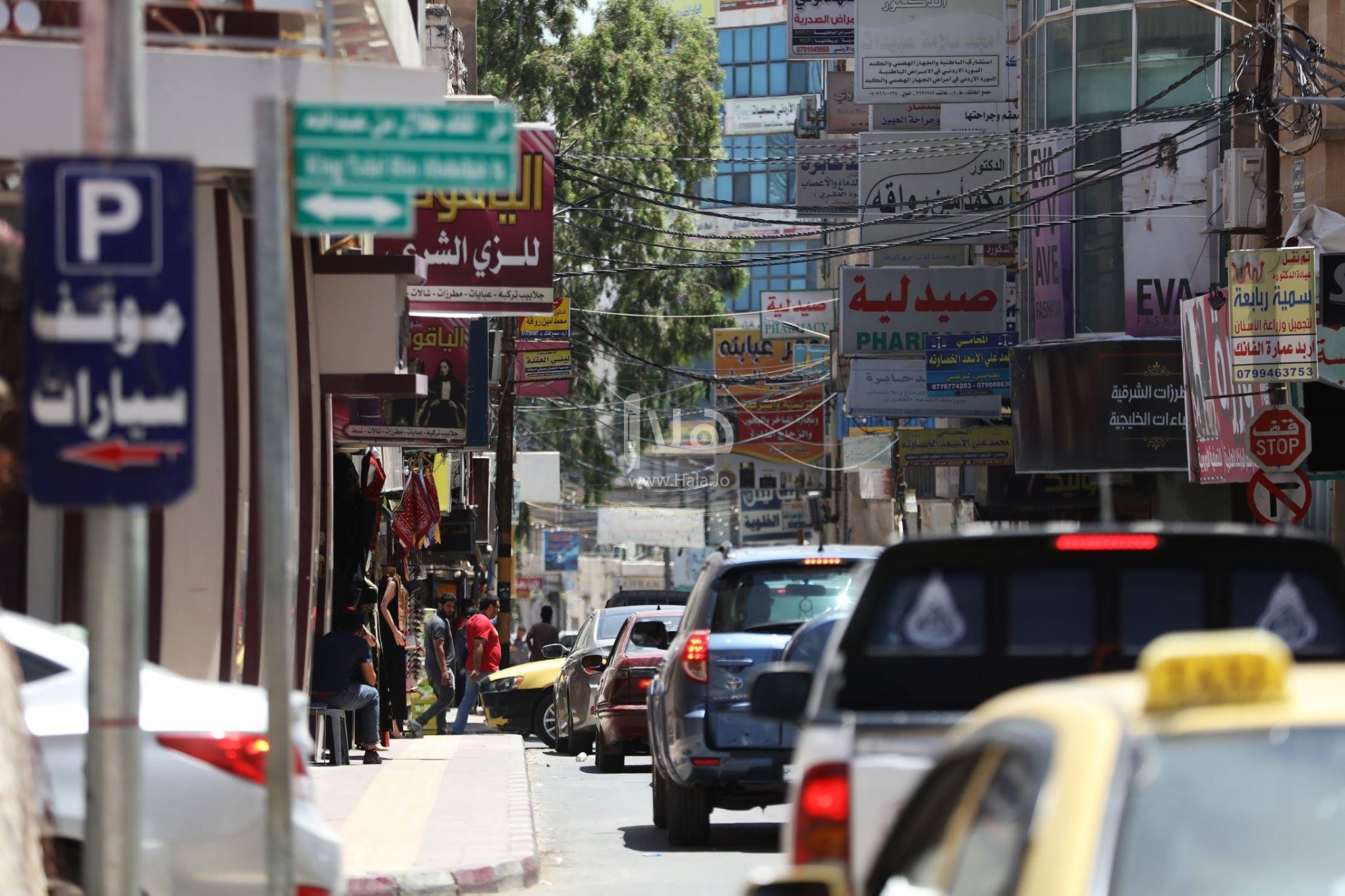 مجلس الوزراء يُقرِّر إعادة هيكلة قطاع المركبات