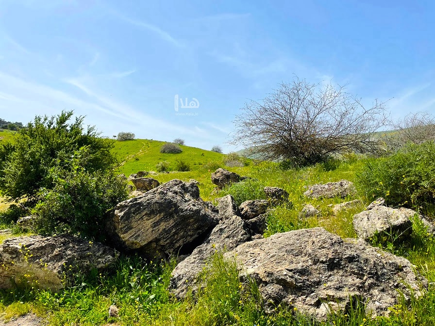أجواء صيفية اعتيادية في أغلب المناطق حتى الربعاء