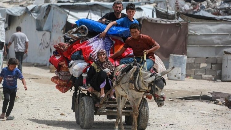 Letter from Gaza: The last word is for life and peace