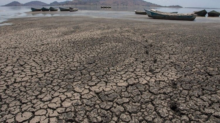 Bishops' conferences and councils appeal for ecological conversion