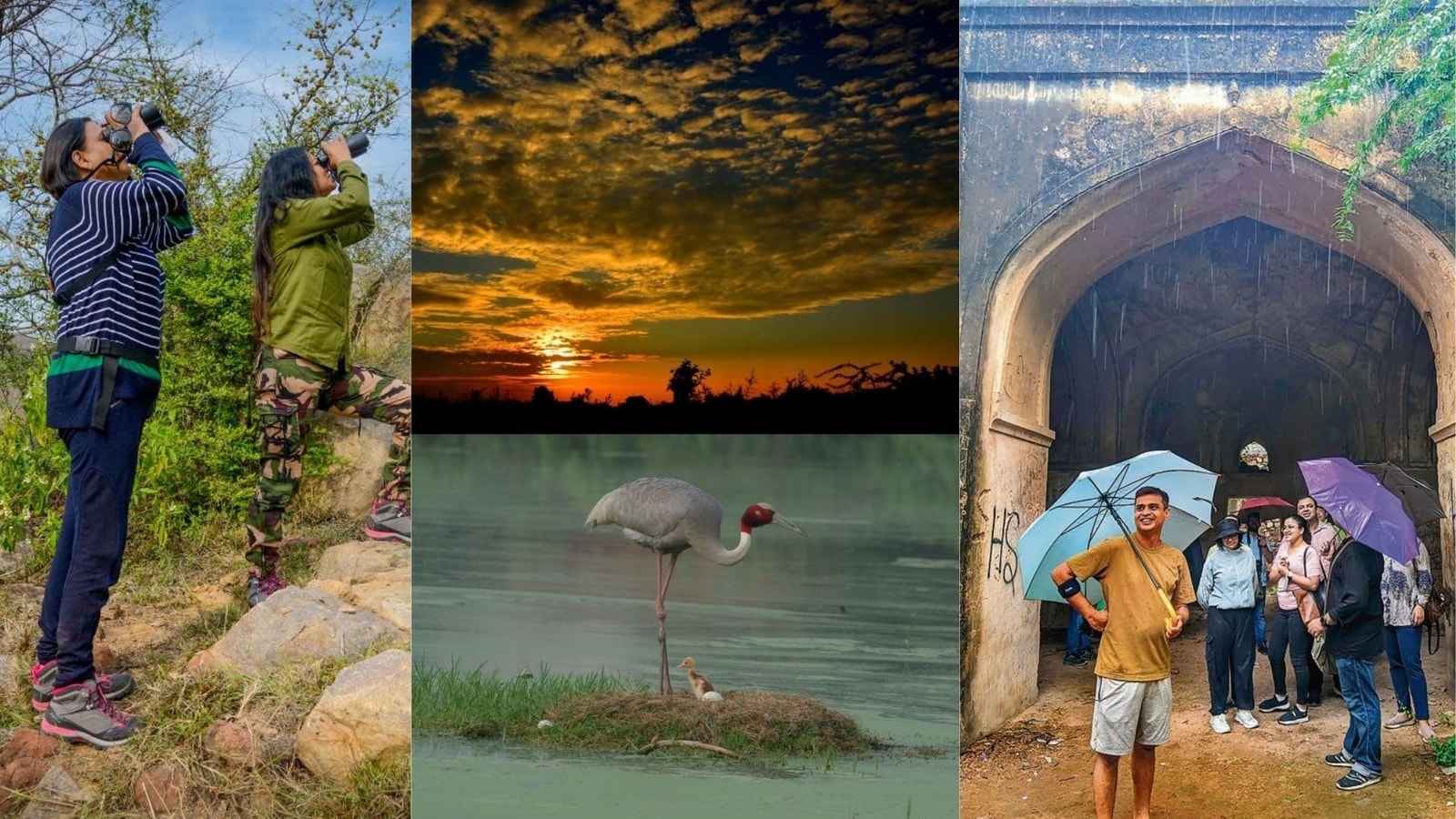 Delhi monsoon: Rain, poetry, and birds are on radar of heritage walkers this season; ready to soak in the vibe?