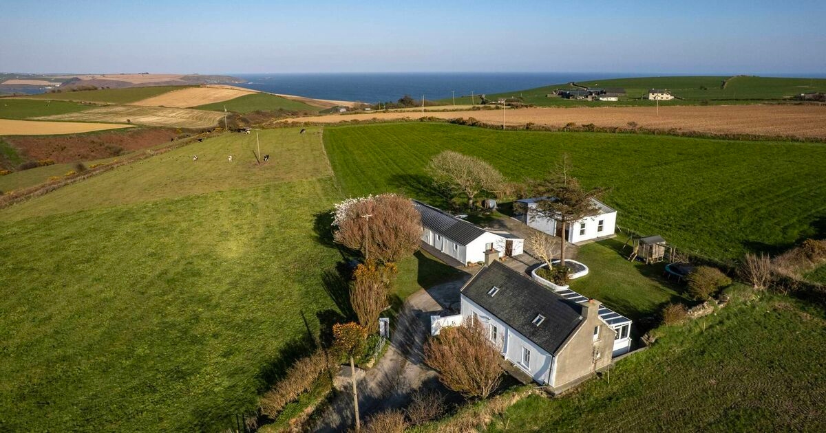 Get an Old Head start at €450k traditional cottage in Kinsale with a large workshop