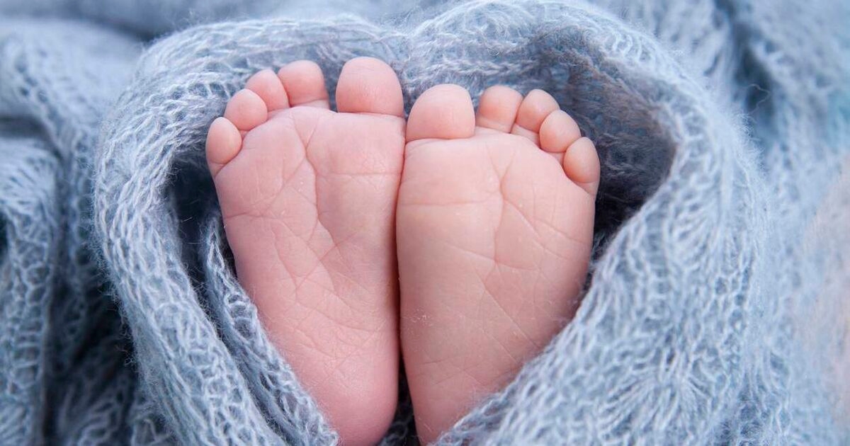 Infertility support group calls for legislation to be enacted to allow for publicly funded IVF scheme