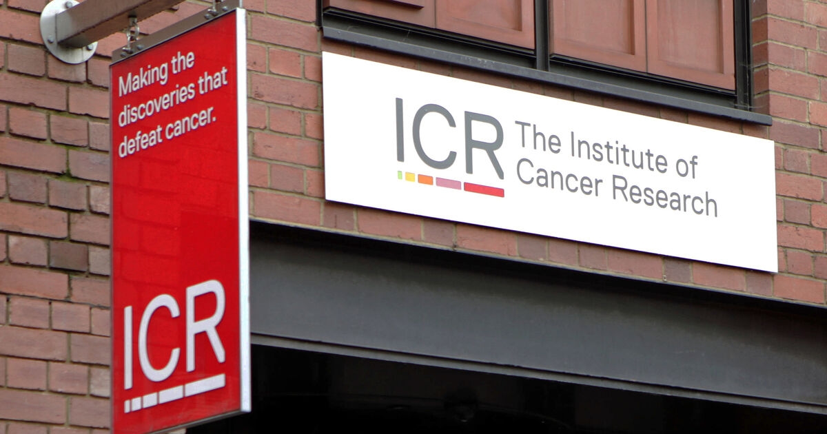 New drug can help stop certain breast cancer tumours early, trial shows
