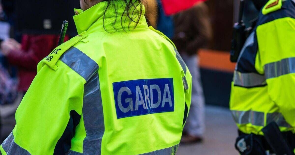 Two arrested after woman allegedly falsely imprisoned in Kildare