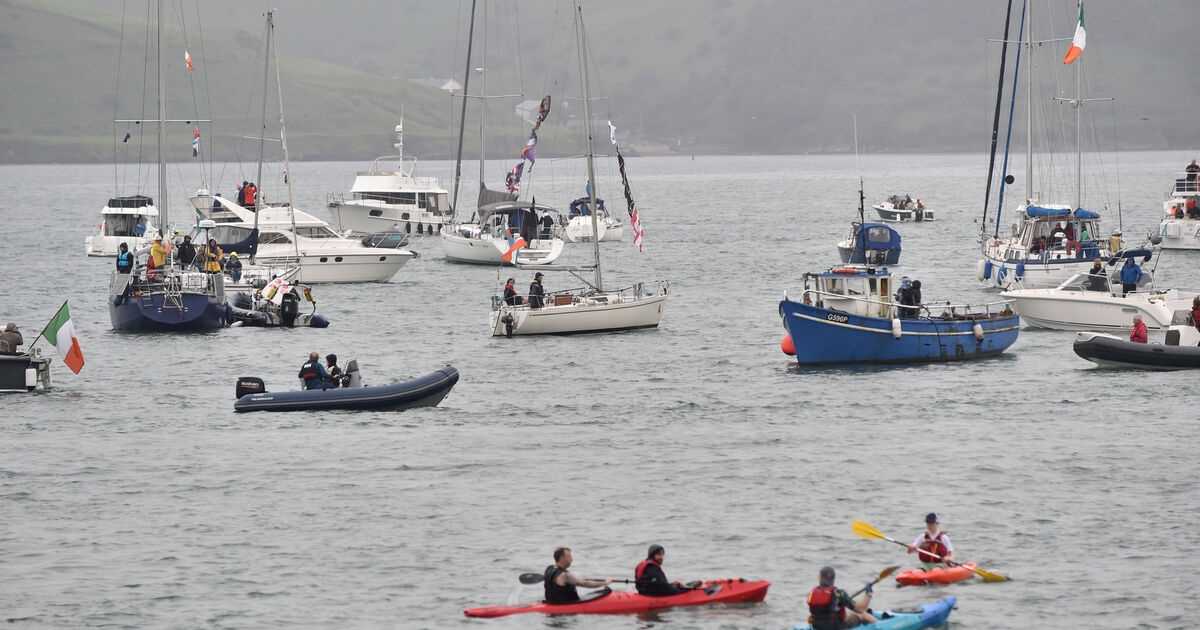 Industrial-scale Mussel farm is ‘completely incompatible' with Kinsale Harbour, campaigners say