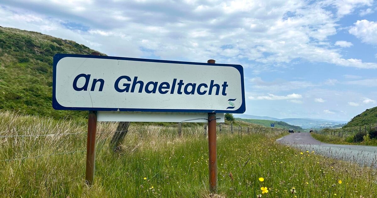 The Menu: Learning about food provenance — as Gaeilge