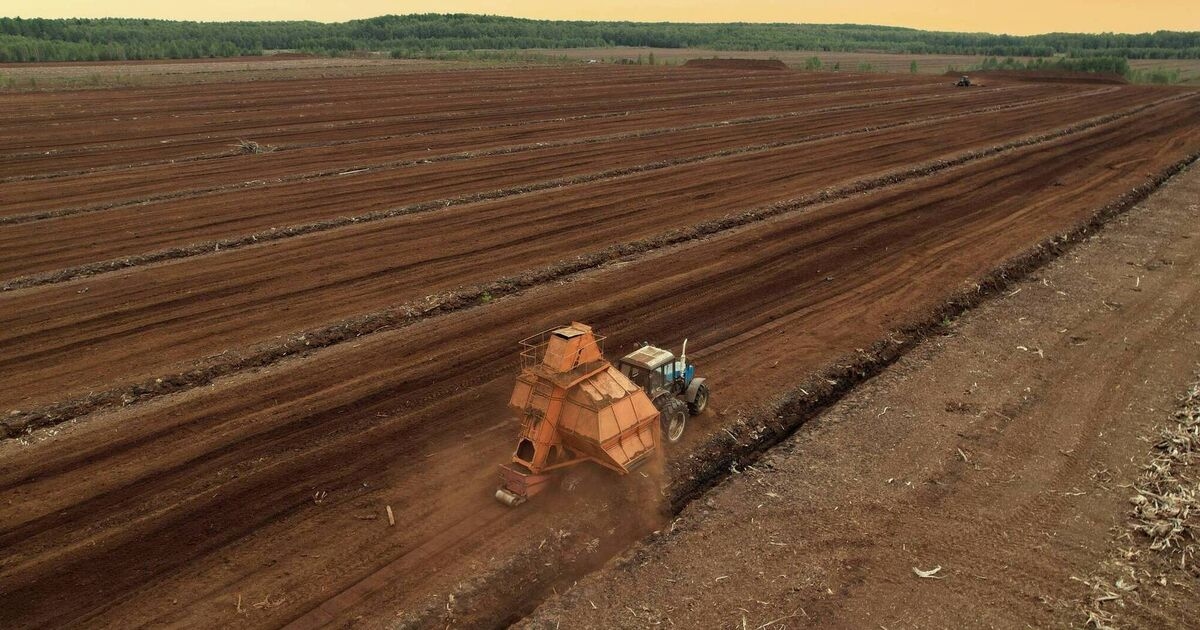 Illegal peat harvesting uncovered on 38 sites across seven counties