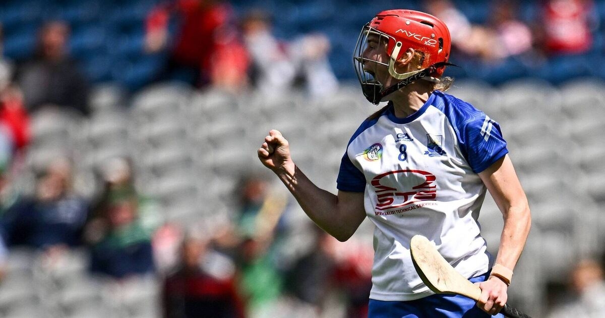 Camogie quarter-finals to be double-headers with hurling semi-finals
