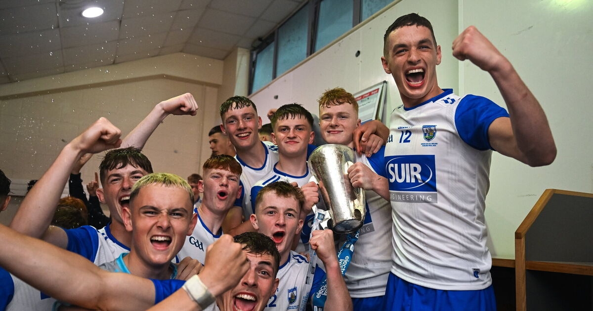 Anthony Daly: Waterford's need for glory was smeared all over commanding performance