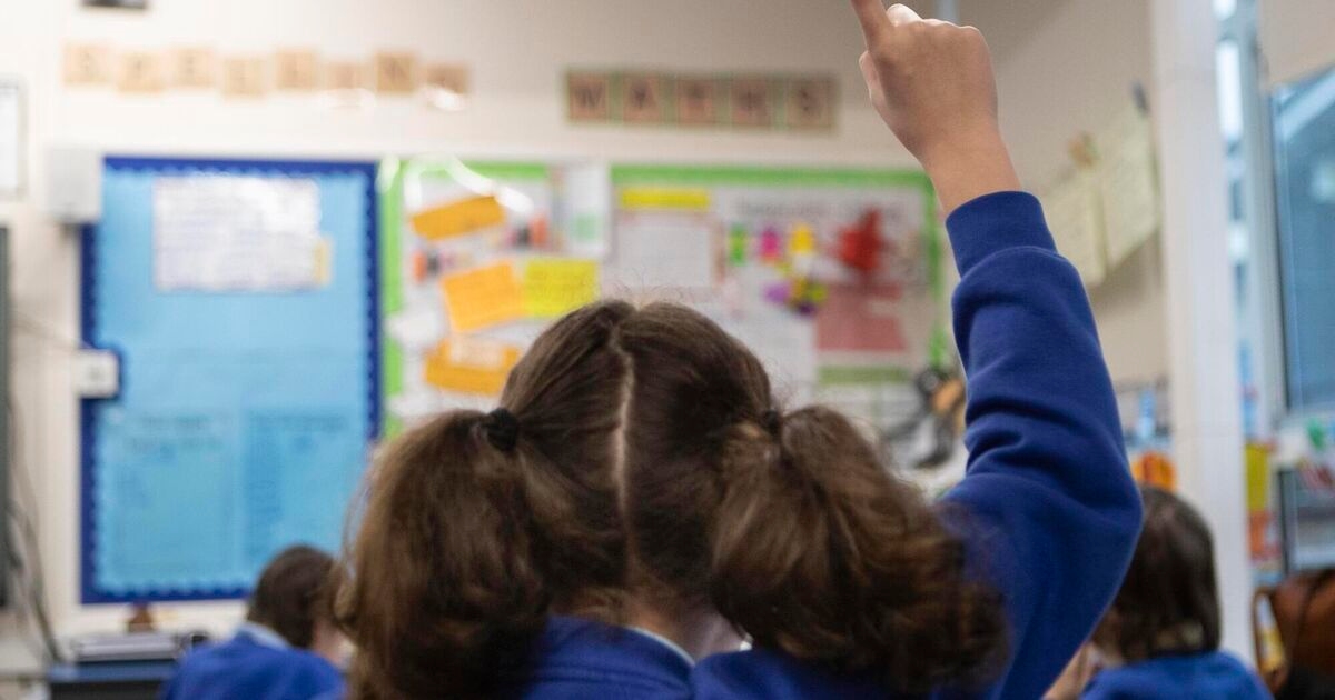 Parents face hike in 'voluntary' contributions if Government does not increase school funding