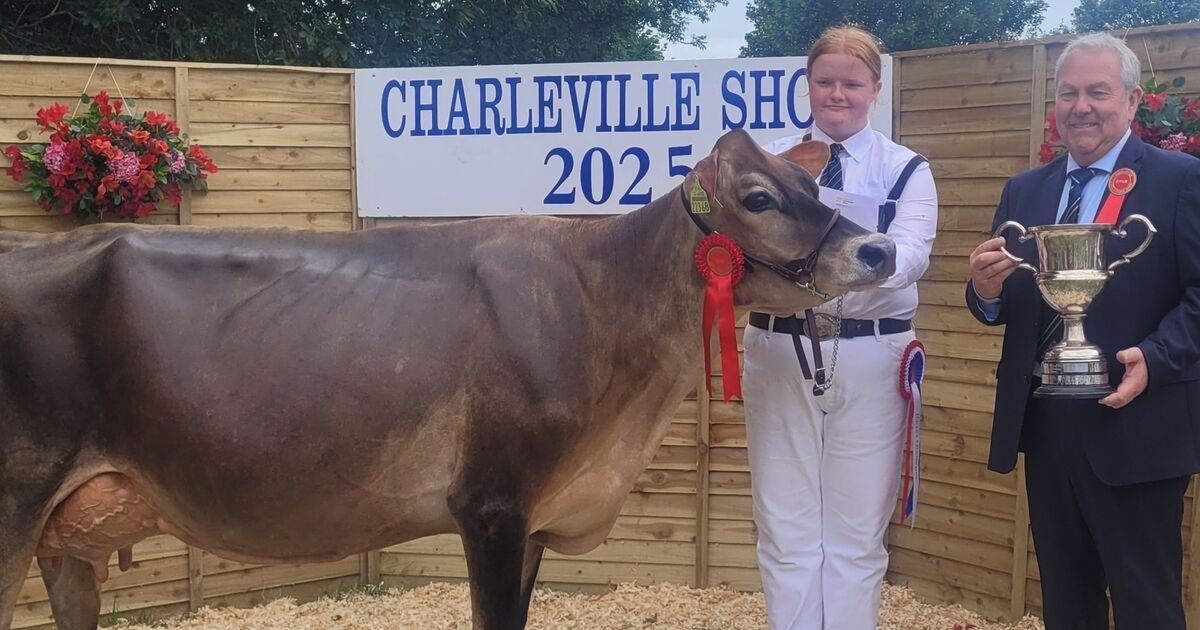 Paula Hynes: A weekend of wins, heifers and hard graft