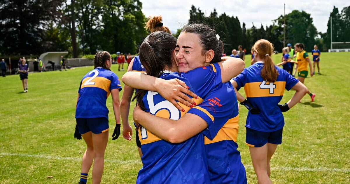Tipperary's dual foresight not being replicated at national level