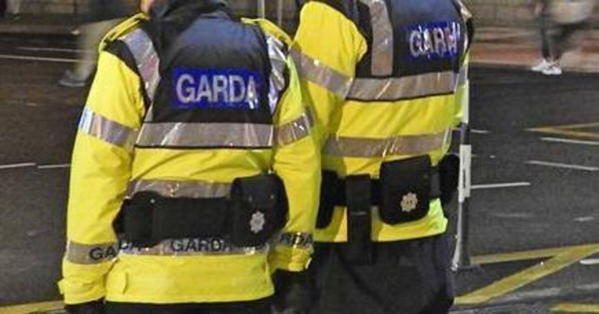 More than one garda a day injured in assaults in 2024 despite rise in sentence