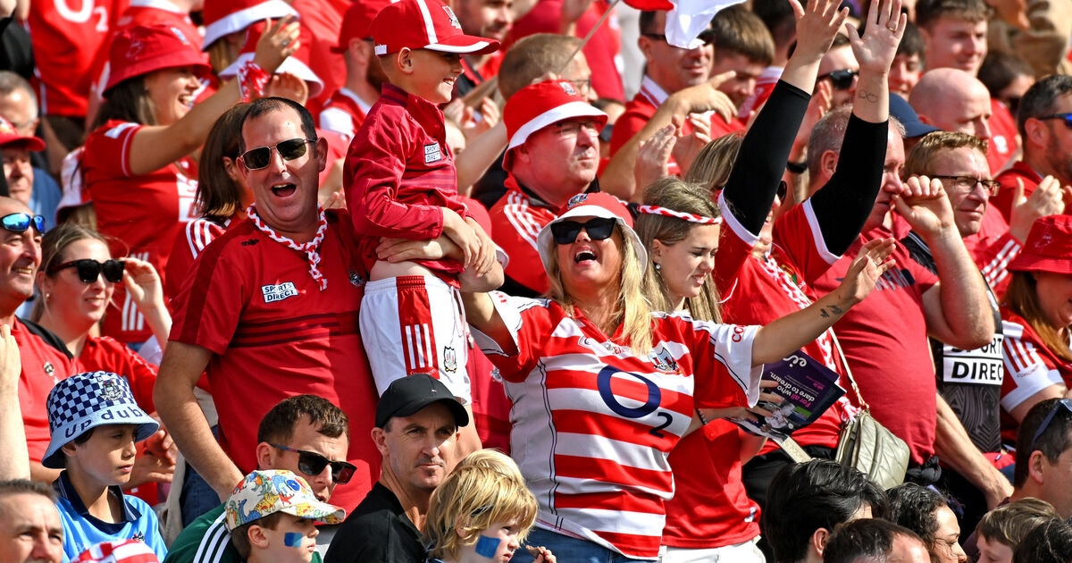 Cork to Dublin trains on All-Ireland hurling final day sell out amid scramble for tickets
