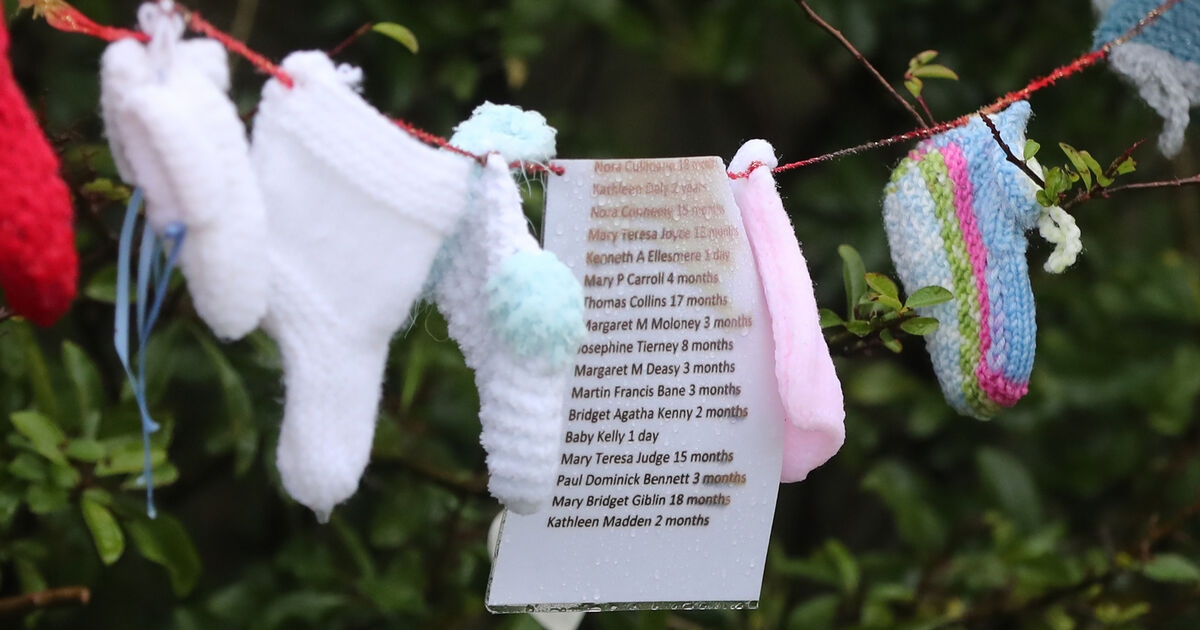 International experts join mass grave excavation at Tuam mother and baby home