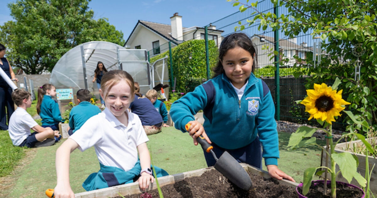 The Menu: How our children can help us fix Ireland's food system