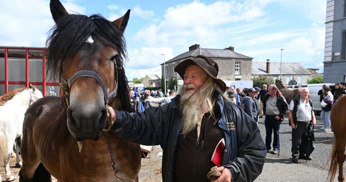 Watch: Jerry from Kerry at the 2025 Cahirmee Horse Fair