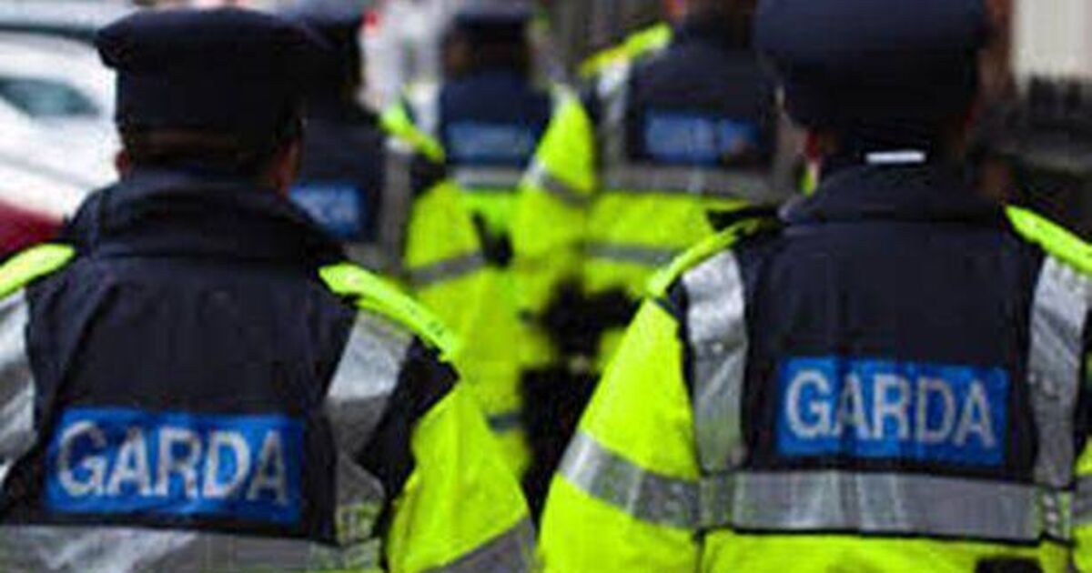 Senator 'shocked' garda facing criminal charges after making protected disclosures of malpractice