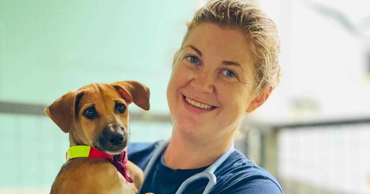 From Kilkenny to Sri Lanka: Meet the vet helping to care for three million street dogs