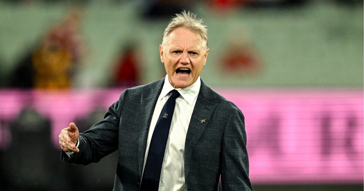 'Human error' - Schmidt critical of late refereeing decision that cost Wallabies
