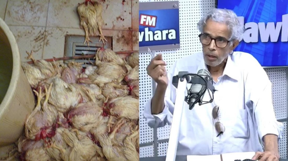 رئيس غرفة تُجّار الدّواجن: '1380 نُقطة بيع عشوائي للدّجاج في صفاقس' (فيديو)