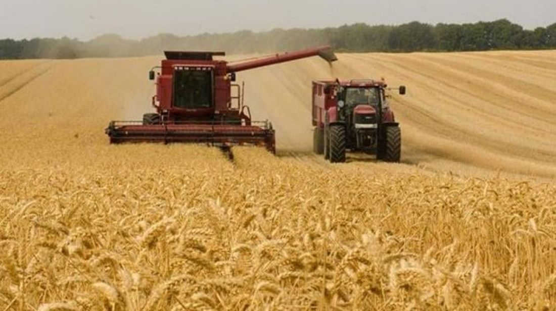 الحكومة تصدر الأمر المتعلق بتحديد سعر الحبوب لموسم 2025