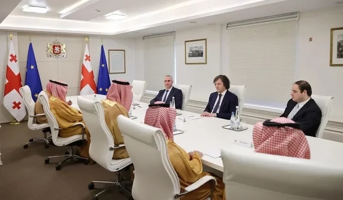 Georgian Prime Minister Meets CEO of Saudi Fund for Development