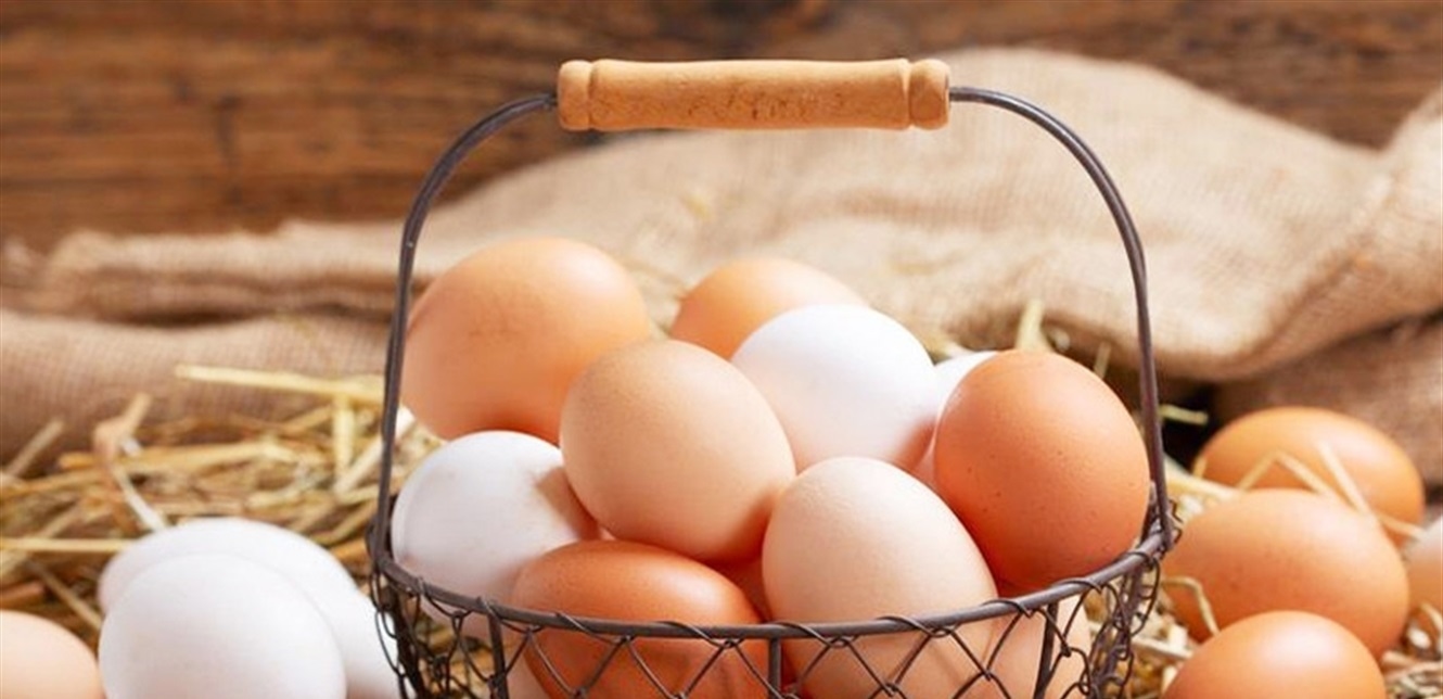 لماذا يُعتبر البيض غذاءً كاملاً؟