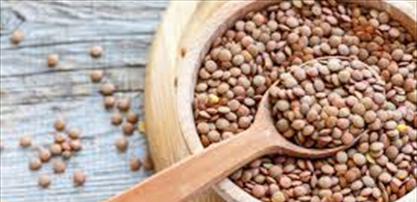لماذا يُنصح بتناول العدس بانتظام؟ إليك الفوائد
